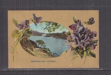 NEW SOUTH WALES, MOSMAN BAY, FLOWERS,1908 ppc. BARADINE to Box Ridge.