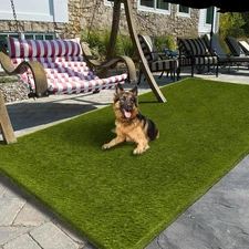 Artificial Grass Outdoor, 5x10 Ft Realistic Turf 5 x 10 Feet 
