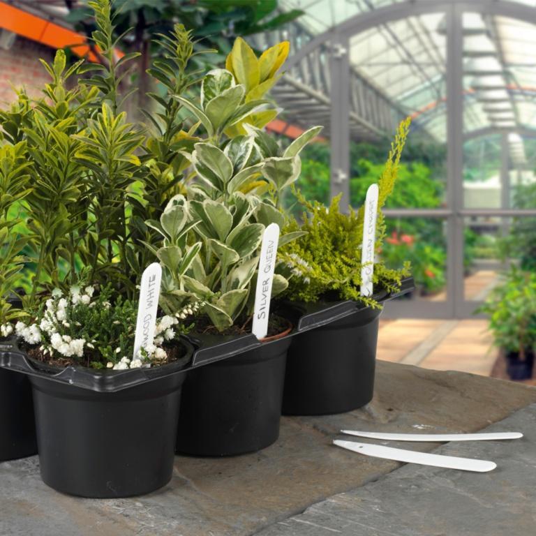 Ambassador Etiquetas para Plantas de Plástico Pack de 100 (ST7267)