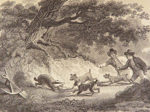1818 HUNTING 1ed Field Sports Fishing Horse & DOG Fowling Racing FINE BINDING - Picture 22 of 24