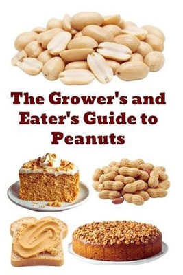 The Grower's and Eater's Guide to Peanuts by Zulfiqar Khan Paperback Book