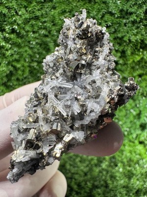 Rare Cluster of Pyrite, Galena & Quartz from the MINES! / N650