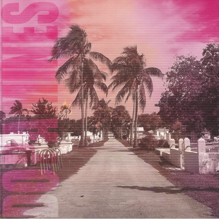 DOPAMINES, The - 80/20 - Vinyl (LP)