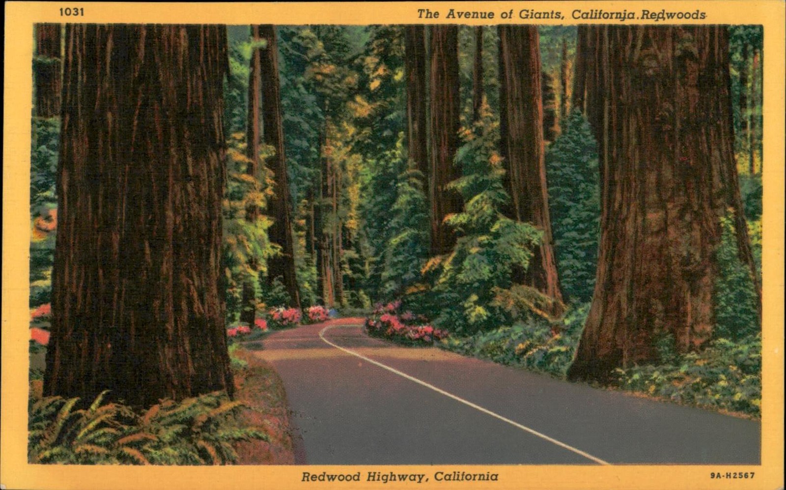 Vintage Linen Postcard Redwood Highway California Avenue of Giants 1930s