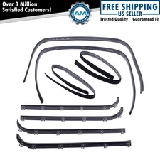 Door Window Belt Weatherstrip Kit Fits 1981-1984 Ford