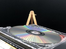 Last Bronx w/spine (Sega Saturn,1997) from japan
