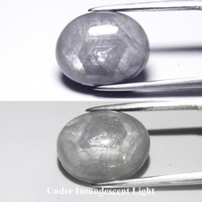    7.85ct 13.8x11mm Oval Grey 6 Ray Star Sapphire - Unheated, Myanmar Gem