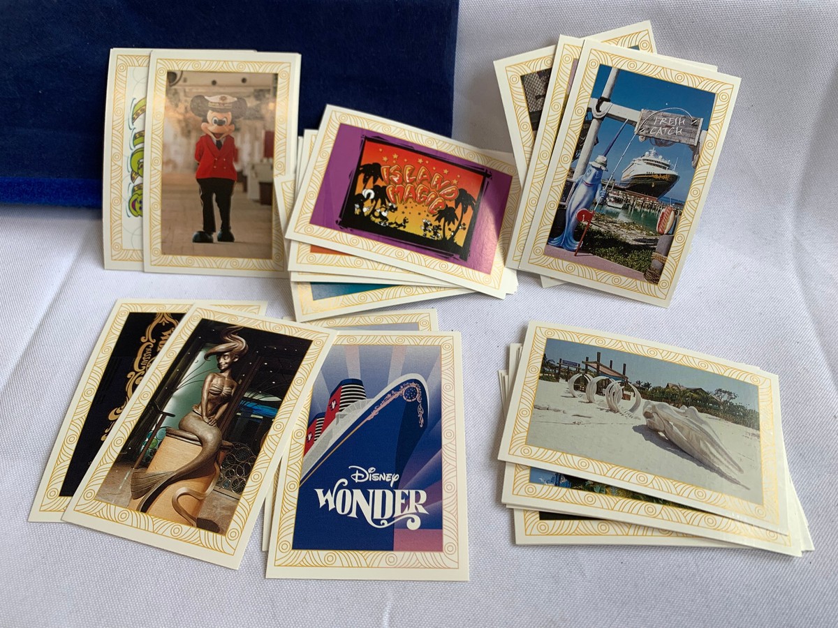 2008 Disney Vacation Club Member Travel Case Cruise Welcoming