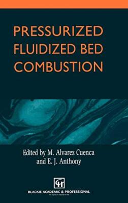 Pressurized Fluidized Bed Combustion, Anthony, Cuenca, Cuenca 9780751402025-,