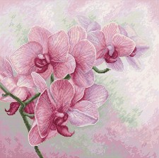 Cross Stitch Kit Graceful Orchids B7009