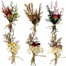 CROISSANT Mini Dried Flower Bouquet 6PCS, Mixed Natural Dried Flowers Bundles