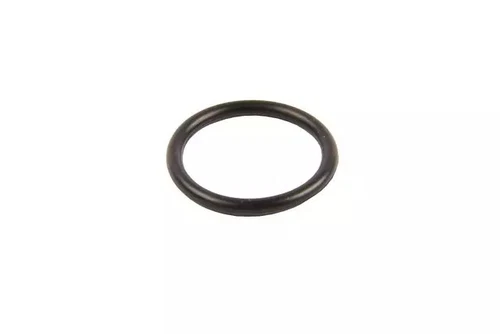 Genuine GM Transfer Case Intermediate Drive Shaft Seal (O-Ring) 19132944