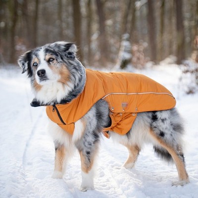 amazon hundebetten waschbar B-Ware: Premium Hundebett mit Kissen