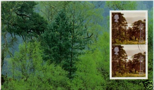 GREAT BRITAIN 2000 TREASURY OF TREES FOREST PANE FINE USED - Picture 1 of 1