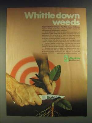 1984 Hopkins Herbex Ad - Whittle down weeds