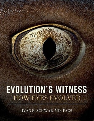 Evolution's Witness: Wie sich die Augen entwickelten