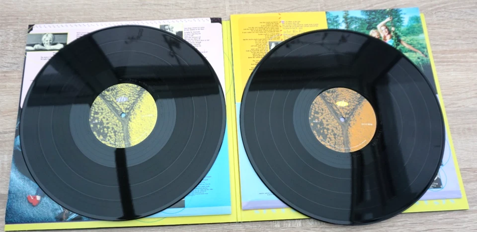 DIXIE CHICKS - FLY - 2016 EU REISSUE DOUBLE VINYL LP + PIC INNERS - EX ! - Image 3 of 4