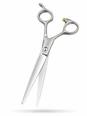 8'' Left Hand Barber Hair Cutting Scissors Stainless Steel Salon Shears