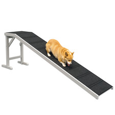 74" Pet Ramp for Dogs Cats with Non-Slip Carpet, White