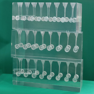 20-Pcs Dental Endo Files Practise Blocks RCT Block 16-Root Model Sixteen IN ONE