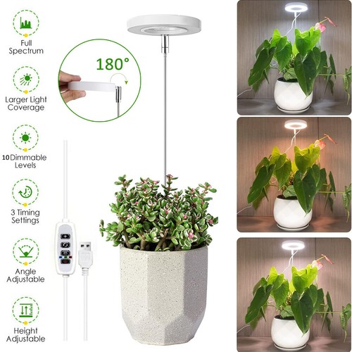 Aazon.co: Grow Lights for Indoor Plants, USB LED Grow Lap