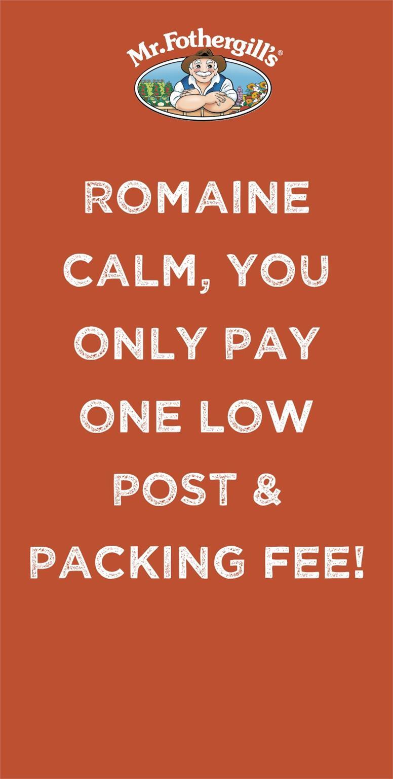 Vegetable seeds heirloom varieties 6 varieties vegetable seeds eBay