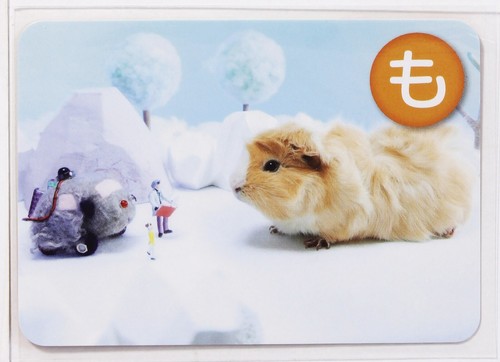 Pui Pui Molcar Karuta Karte Vol.1-35 Tier Meerschweinchen japanisches Zeichen - Bild 2 von 10