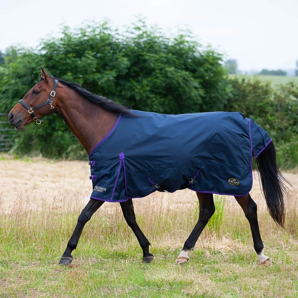 LITE WEIGHT TURNOUT RUG NO FILL Gallop Trojan Lightweight Horse Rug 0g No Neck - Image 2 of 4