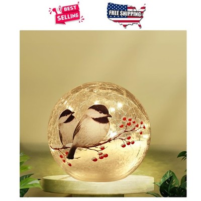 Birds Pattern Glass Ball LED Night Light Crackle Globe Warm White Bedroom Decor