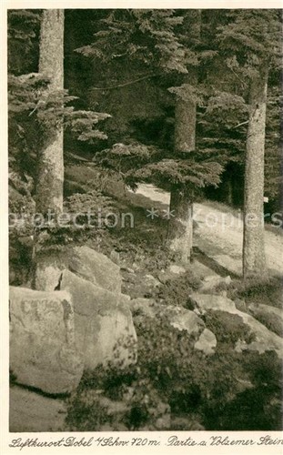 Dobel Schwarzwald Partie am Volzemer Stein - 第 1/2 張圖片