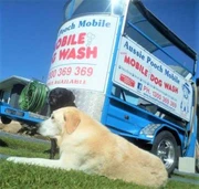 Mobile Dog Grooming In Central Coast Nsw Region Nsw Grooming Gumtree Australia Free Local Classifieds