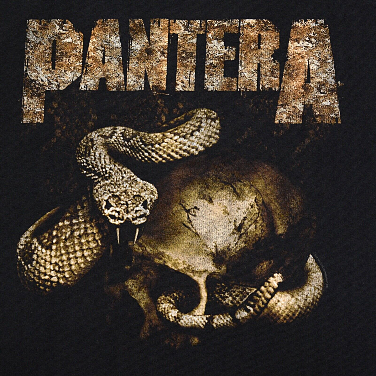 PANTERA 2002 RATTLESNAKE & SKULL Tour Tennessee River T-Shirt