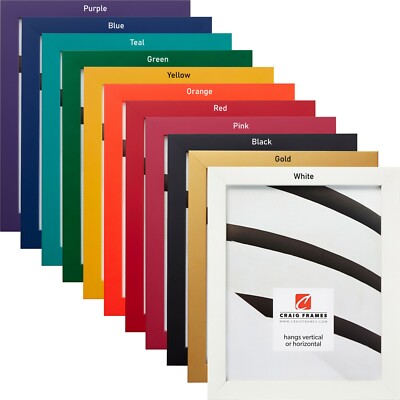 Craig Frames Confetti Primary, .875'' Wide Modern Picture Frame, Various Colors