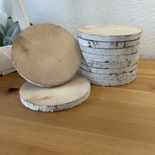 10 White Birch Slices 5.5”x1/2” Rounds Wood Burning, Multimedia Painting Surface
