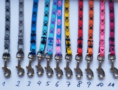 Welche Leine Soll Ich Für Meinen Chihuahua Kaufen