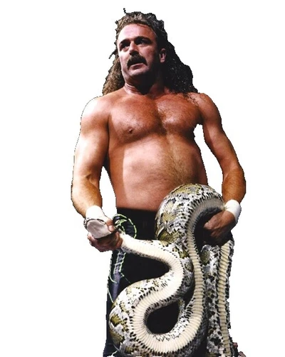 Jake Roberts WWF Wrestling Photos
