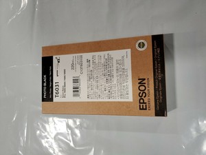 epson t6031