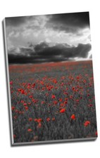 Black & White Red Poppy Field Canvas Print Wall Art 30x20" A1