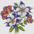 Bild 3 von 12