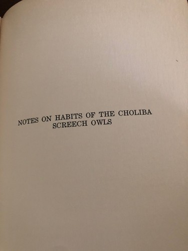 A Key to Species of American Owls (1934) Leon Kelso Strigiformes U S Biological - Picture 11 of 11