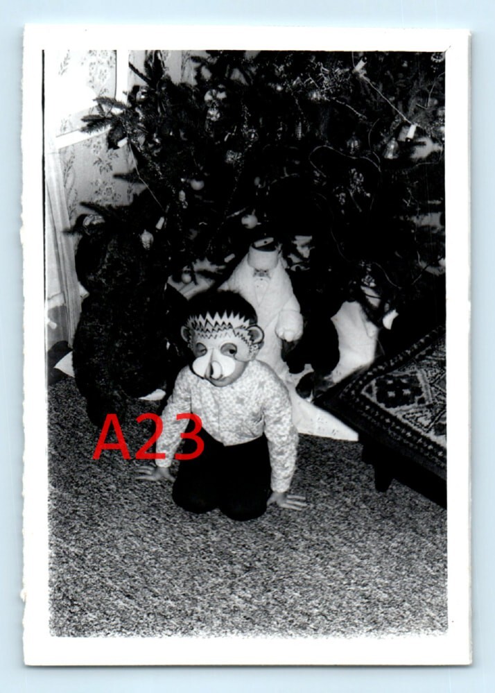 Picture 1
