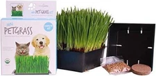 Handy Pantry Organic Cat Grass Kit - Includes 1 Tray, 1 Soil Puck, and Non GMO