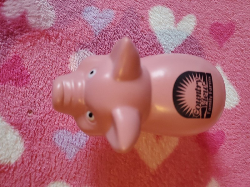 Country View Family Farm Pig Stress Toy