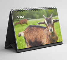 Goat Desk Calendar 2026-2027: Standing Flip Desktop Calendar