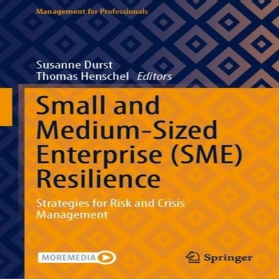 Small and Medium-Sized Enterprise (SME) Resilience Strategies for