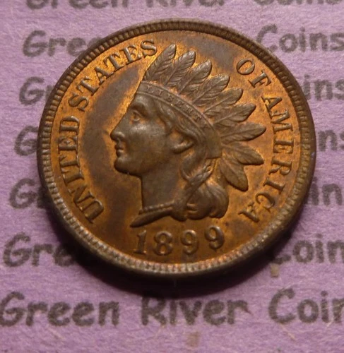 1899 Indian Head Cent  High Grade Coin  #15 Almost Uncirculated