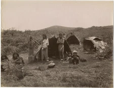 Photo Attr. Apothecaries Tirage Albuminé Inde India Tirage Original Vers 1880