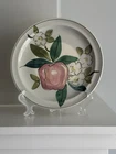 VTG RED WING Pottery Apple Blossom Hand Painted 10” Normandy Dinner Plate USA