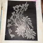 Bild 13 von 16