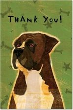 Eco-Notes Thank You Card Set, 4 x 6 Inches, 12-Count Cards w/ envelopes, boxer